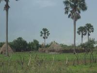 Habitats traditionnel du nord Cameroun: cliquer pour aggrandir